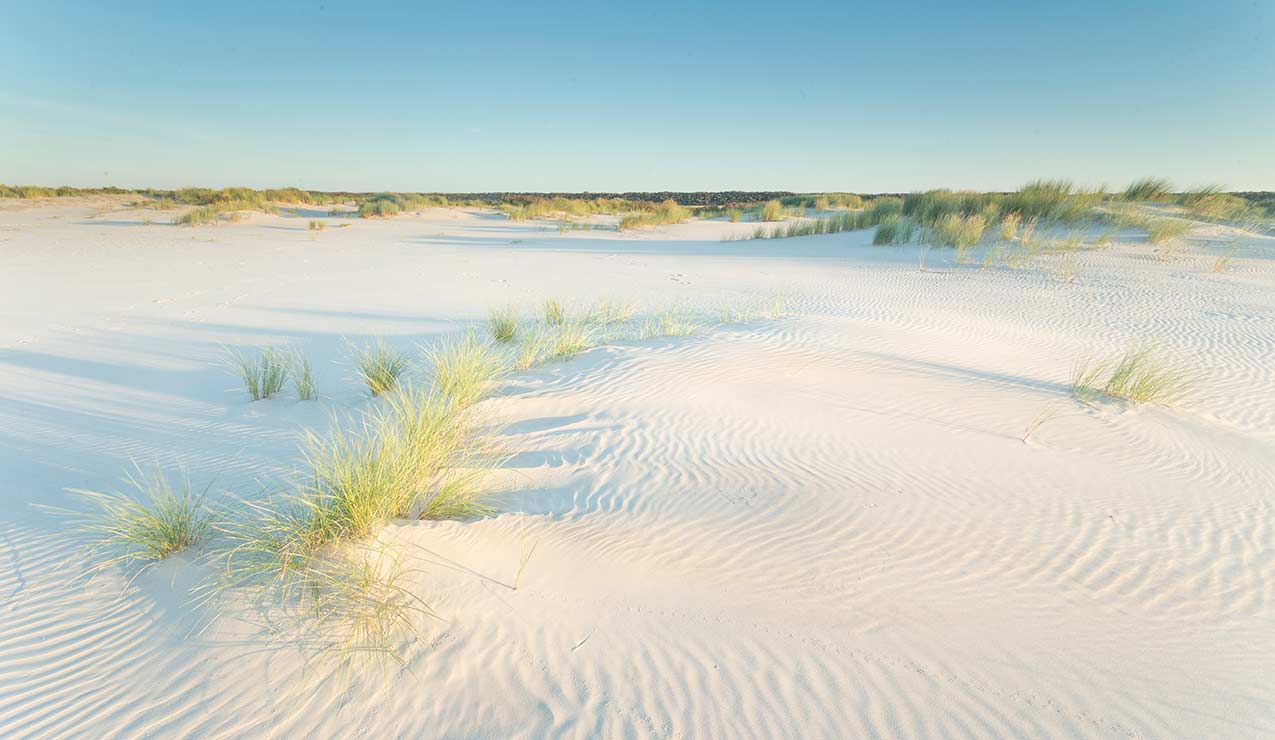 Schiermonnikoog landschapsfotografie Duinen Zee