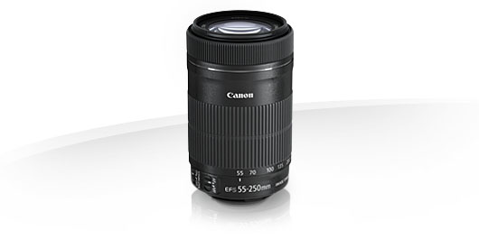 Canon EF S 55 250mm f4-5.6 IS STM telezoomlens kopen of niet