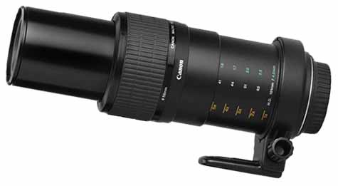 Canon MP-E 65 mm f/2.8 1-5x Macro Photo extreemste macrolens vergroting